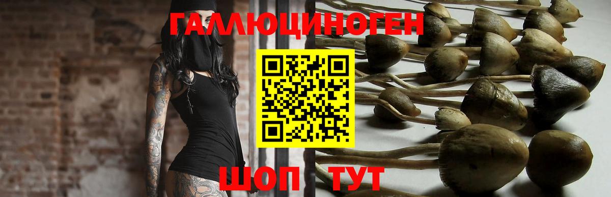 Галлюциногенные грибы ЛСД  Вход с VPN  даркнет сайт  Котельники 